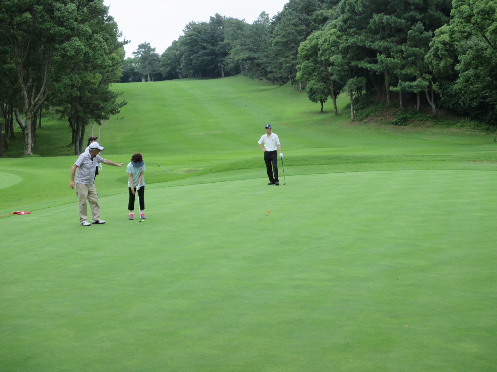 多數日本高爾夫球場果嶺均採世界頂級的Bent草，感受與台灣球場截然不同；圖為Mios菊川鄉村俱樂部。