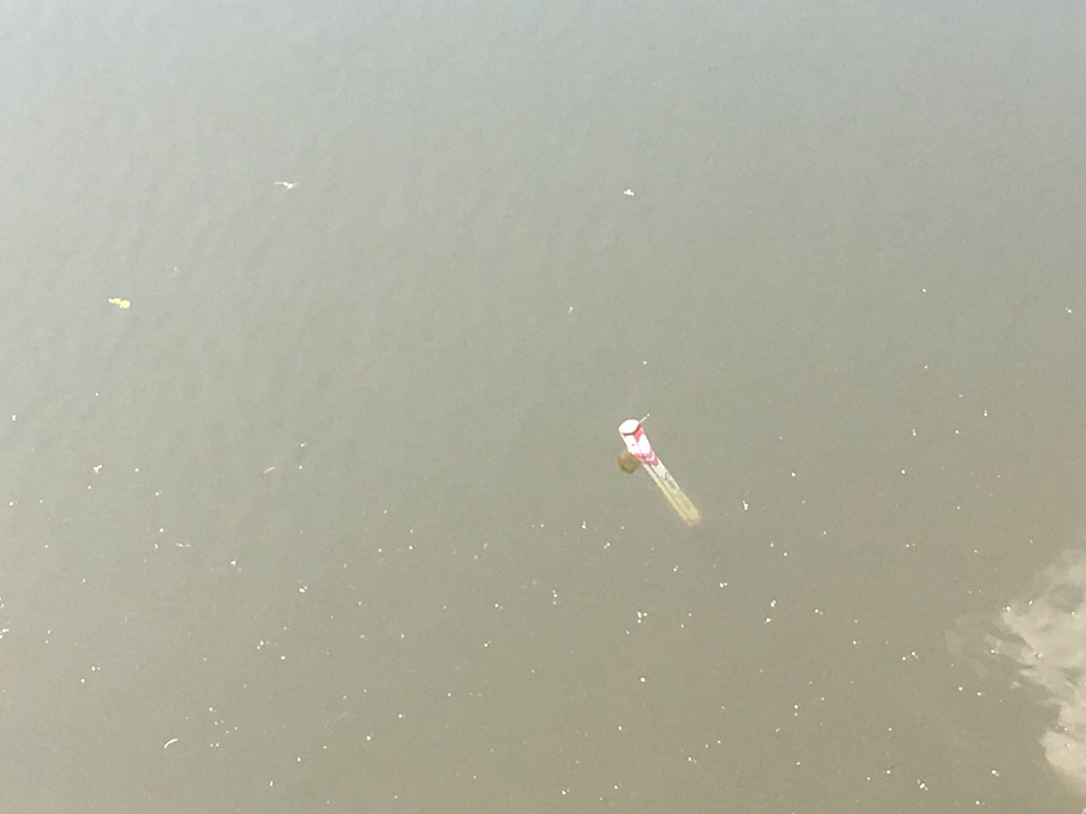 達利可憐的推桿在水塘中載沉載浮。