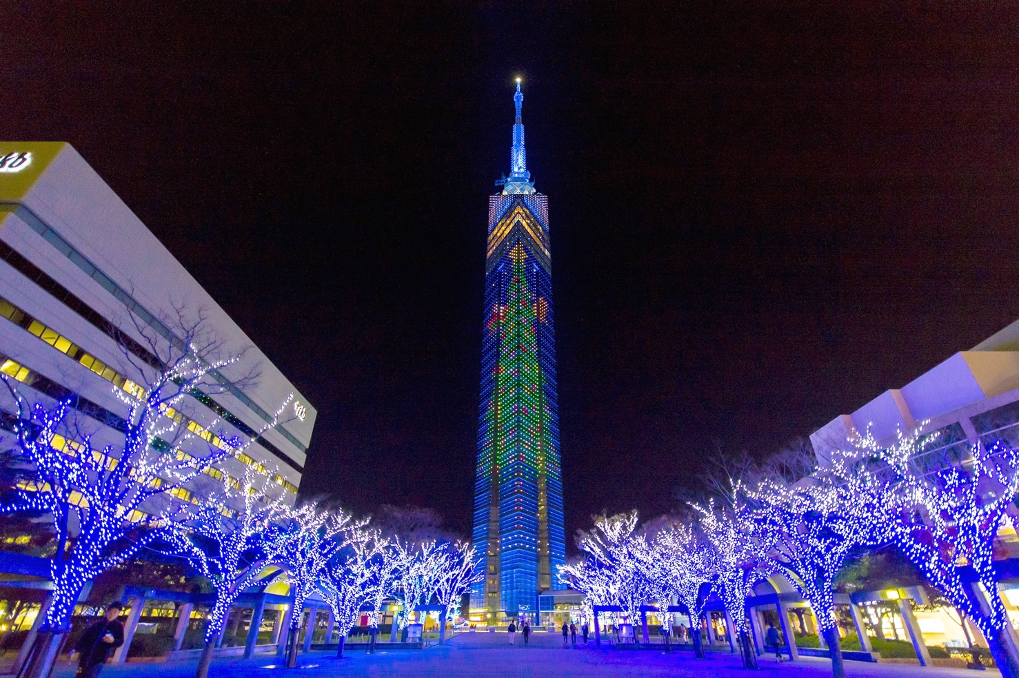 福岡市的地標–福岡塔。塔高234米，係日本第三高塔，僅次於東京天空樹和東京鐵塔。啟用於1989年3月，主要用於電視、廣播訊號發射以及觀光。塔身外觀由8,000面分光鏡覆蓋，為正三角形柱狀。三角柱上部形似福岡市市徽，每年的聖誕節及七夕時期均會進行點燈裝飾。開放公眾進入區域共有五層，最高處的瞭望台高123米，乘電梯70秒到達，可在此一覽福岡市區全景。
