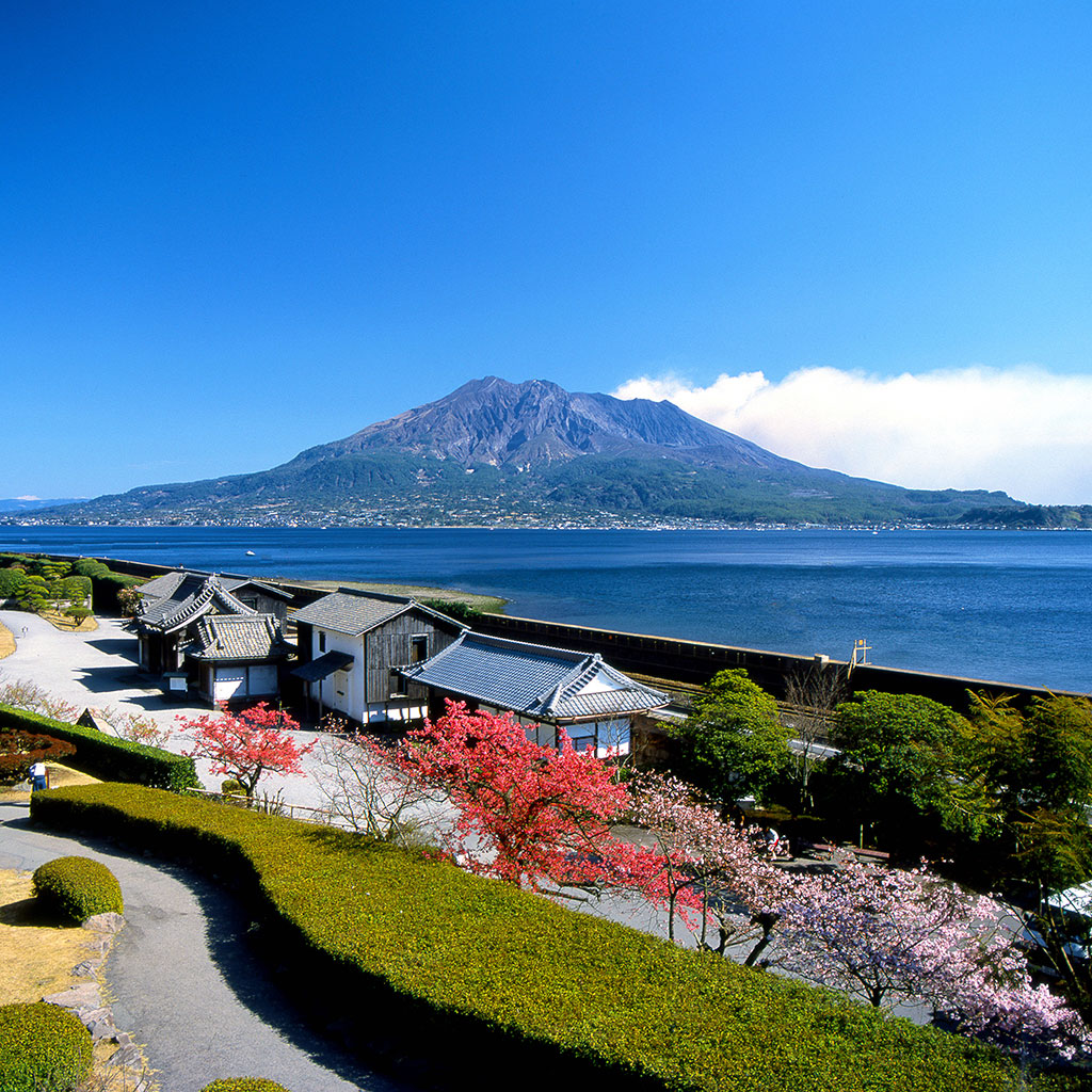 昔日薩摩藩主島津氏所建的仙巖園，歷史逾500年；背景為櫻島火山。