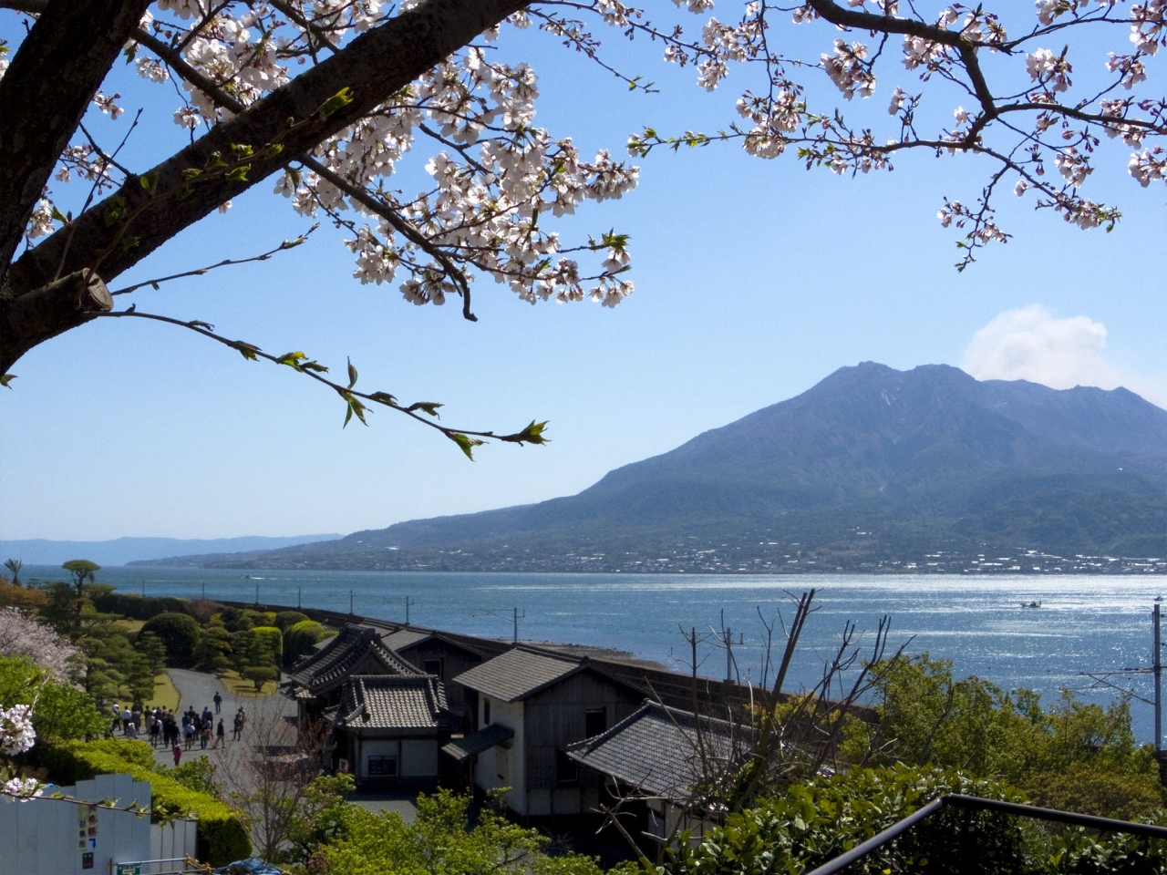 昔日薩摩藩主島津氏所建的仙巖園，歷史逾500年；背景為櫻島火山。