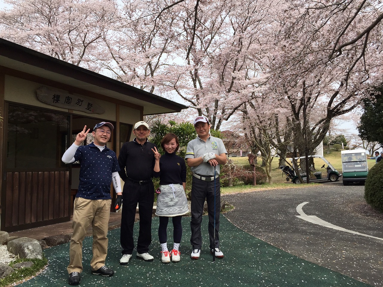 日本多數高爾夫球場均種植櫻花。每當春天櫻花盛開時可以一面打球，一面賞櫻。