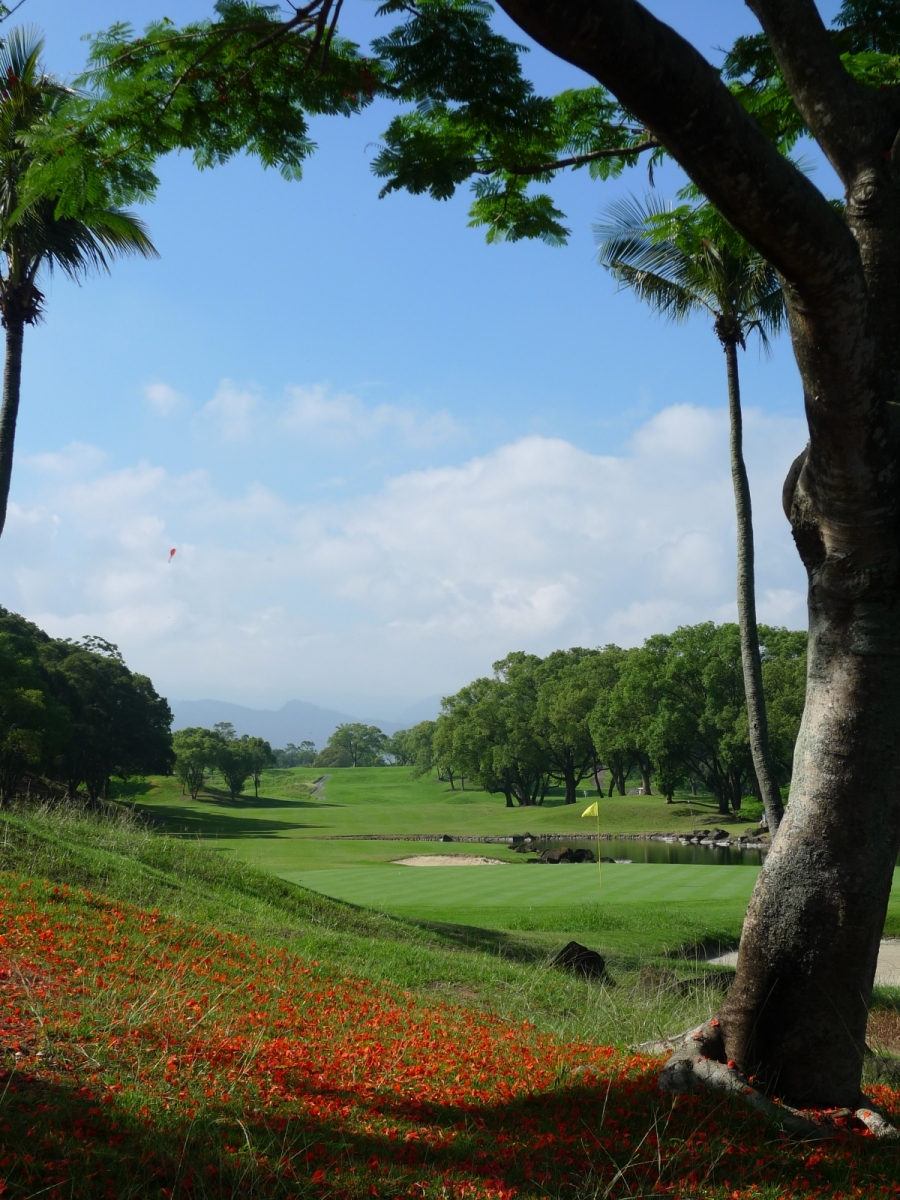 夏季來臨，鳳凰花開。(棕梠湖第9洞果嶺)