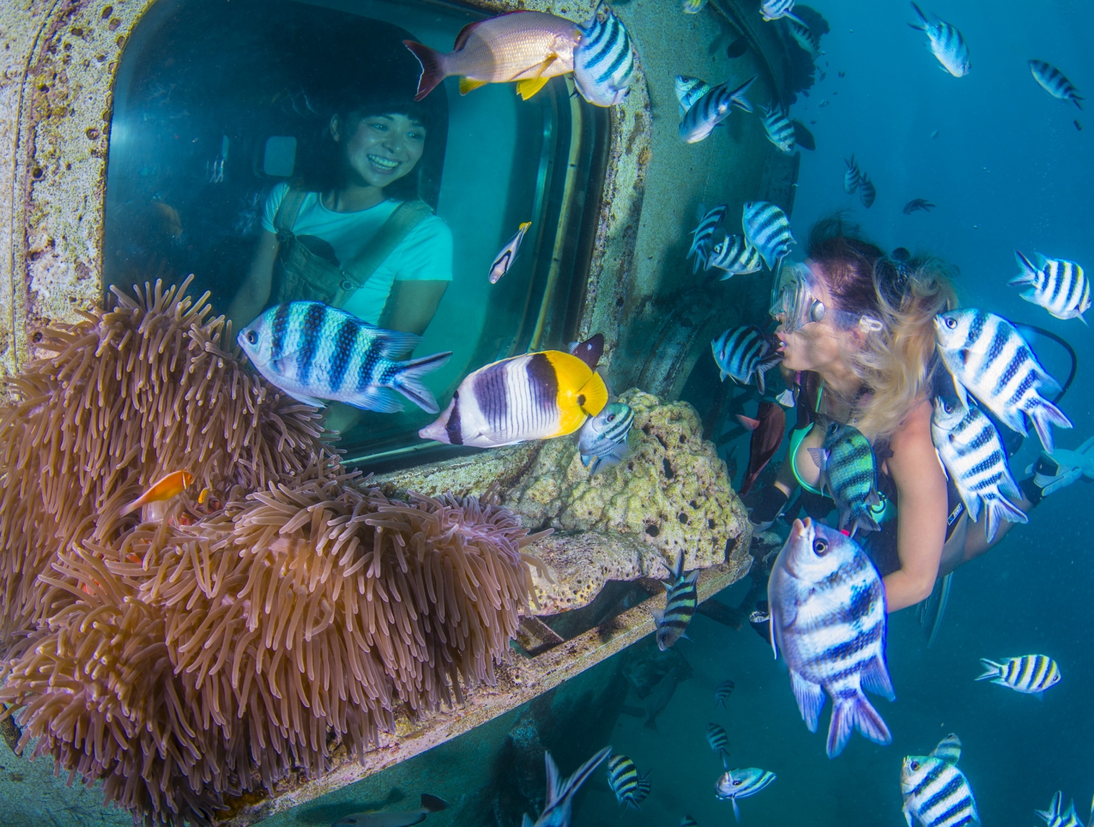魚眼海洋公園的海底展望台往水面下延伸10公尺，四周環繞大型玻璃關景窗，可清楚看到關島海底美景與多種類熱帶魚群和各式珊瑚。
