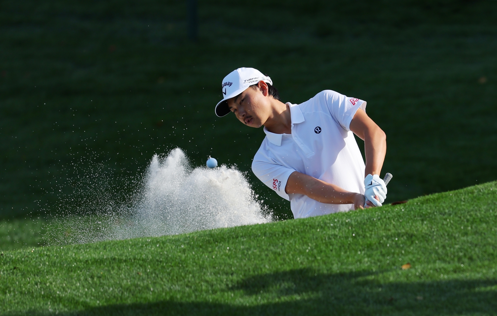 Min Woo Lee . Credit Getty Images