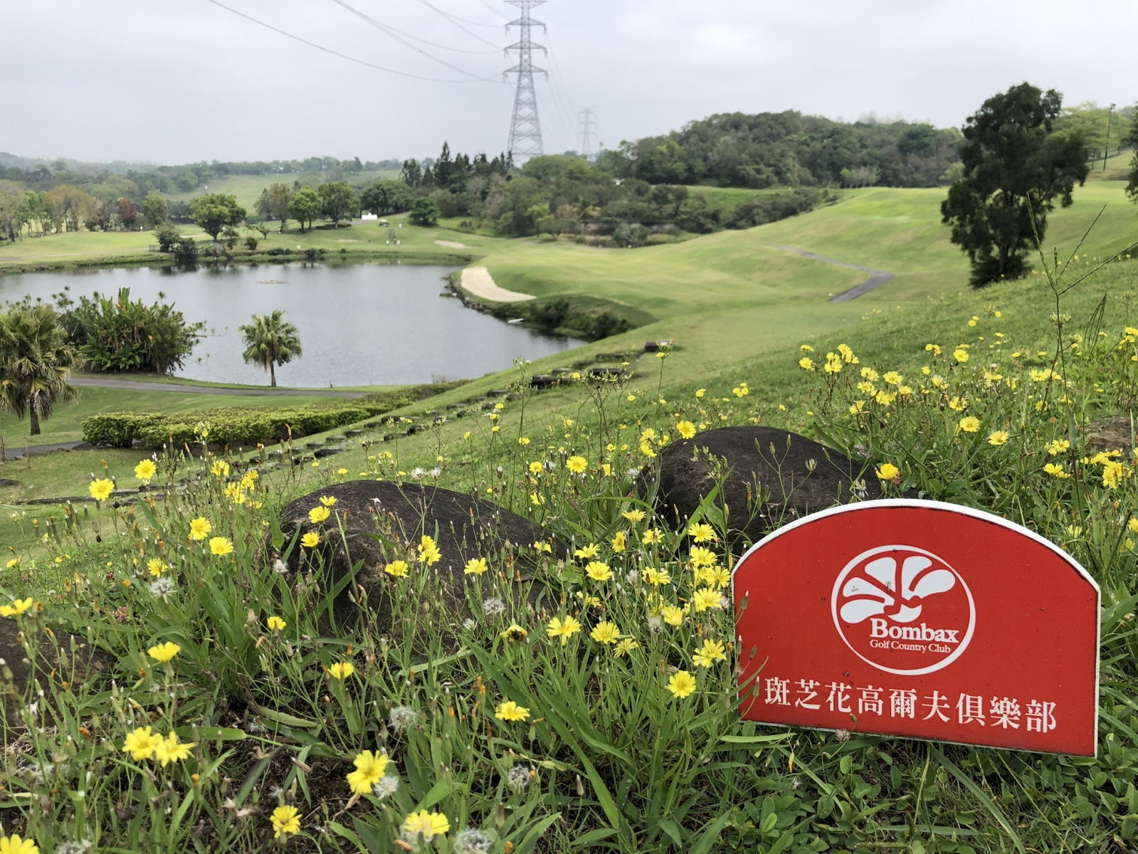 斑芝花球場景色如畫。(鍾豐榮攝影)