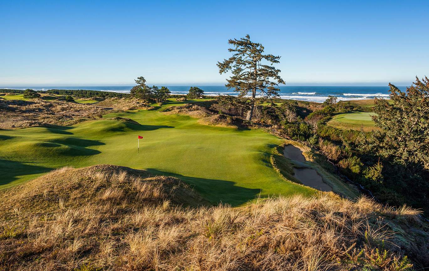 BANDON PRESERVE / BANDON DUNES